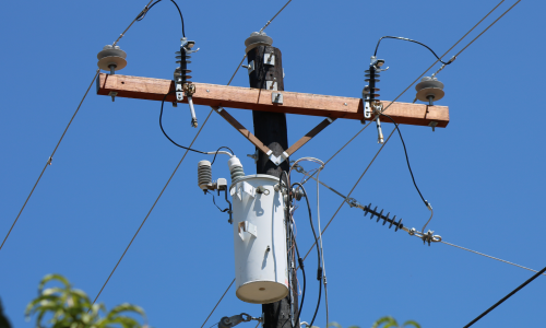 Dove Season Safety: Protect Yourself and Utility Equipment